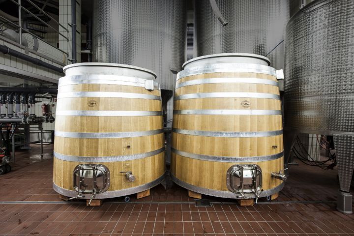 Hex vom Dasenstein - Weinland Baden